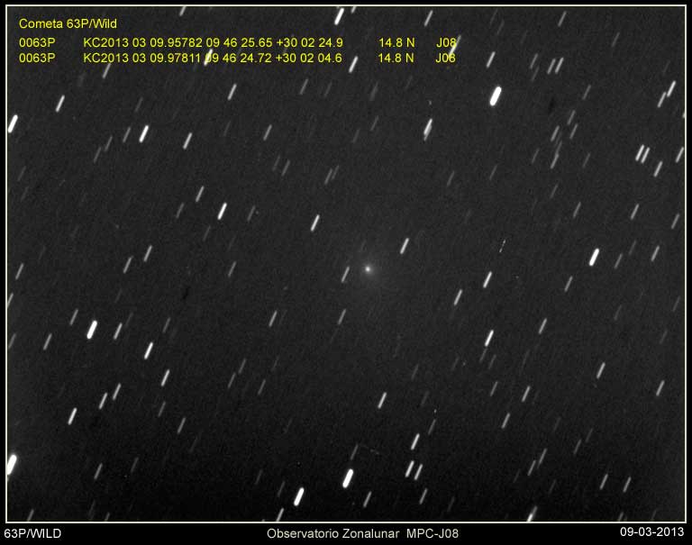 63PWILD-09032013.jpg