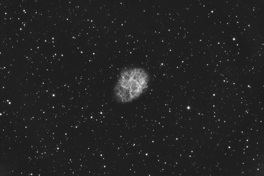 M1-HA-CDK.jpg