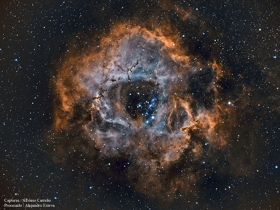 Roseta1SigFo.jpg