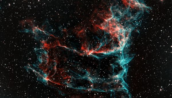 IC1340_ALEX_1.jpg