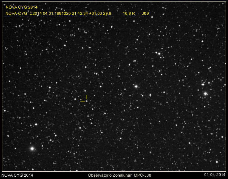 nova-cyg-2014-01042014.jpg